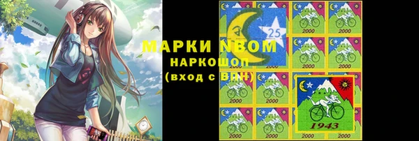 ПСИЛОЦИБИНОВЫЕ ГРИБЫ Гусь-Хрустальный